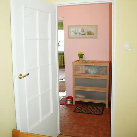 Cozy Lötzen